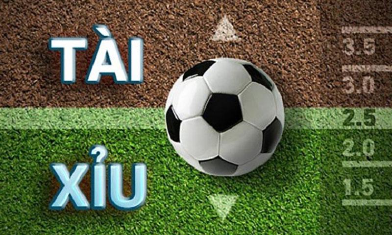 Tài xỉu 1/2 là gì