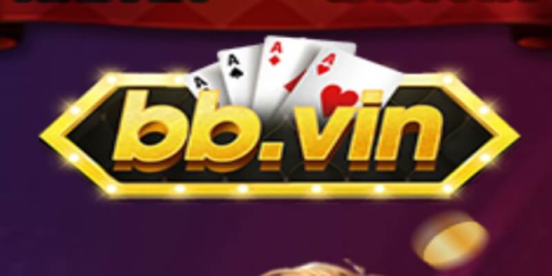 Giới thiệu về Bb vin là gì?